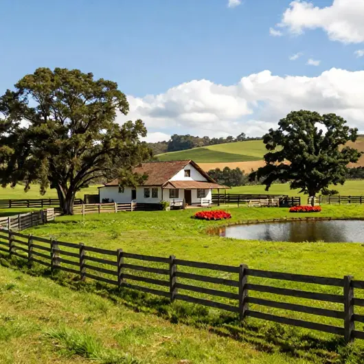 Descubra a Fazenda Cavalinno