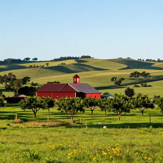 Descubra a Fazenda Santa Mariana