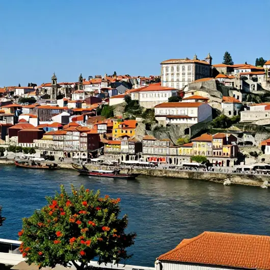 Descubra as Atrações do Porto