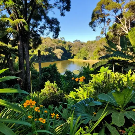 Descubra o Parque Estadual de Porto Ferreira