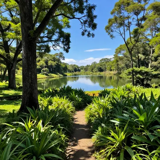 Descubra o Parque Estadual do Cocó