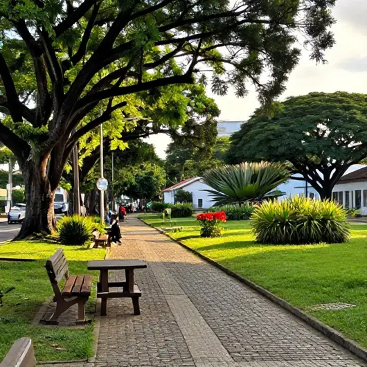 Descubra o Passeio Carioca