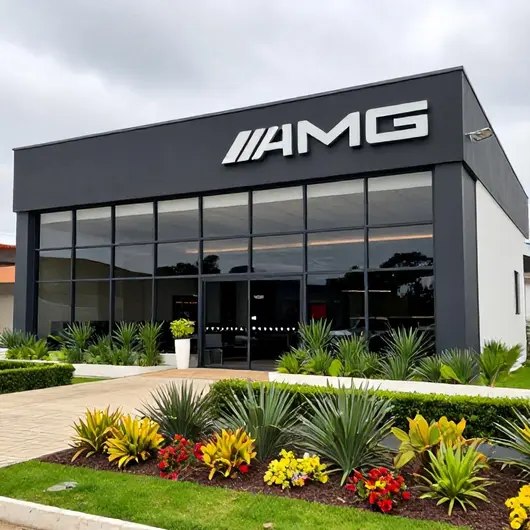 Descubra o Que Há de Melhor em AMG