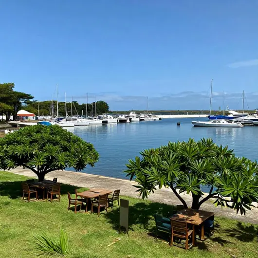 Marinas do Porto Distribuidora