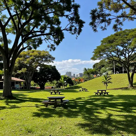 Descubra a Cidade do Sol Passeios
