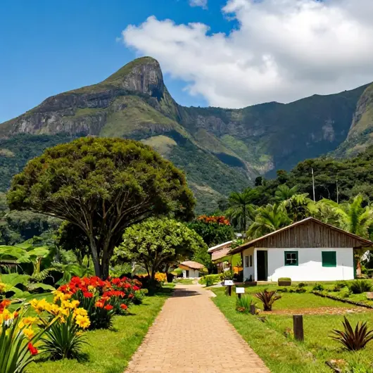 Descubra Tijuca São Carlos