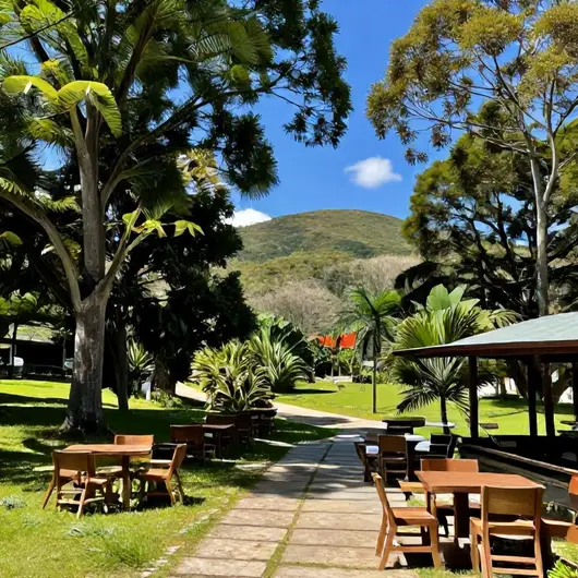 Monte Alegre Turismo