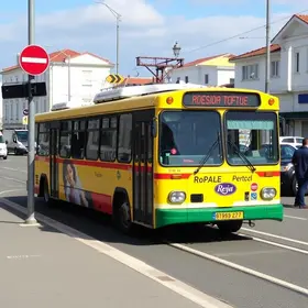 transporte coletivo Porto Ferreira