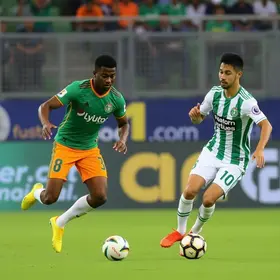 Tanabi Júnior x Palmeiras Júnior: Resultados em direto, escalações, H2H e probabilidades esportes em tempo real