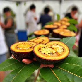 Casa Branca (SP) recebe 10º Festival Gastronômico da Jabuticaba